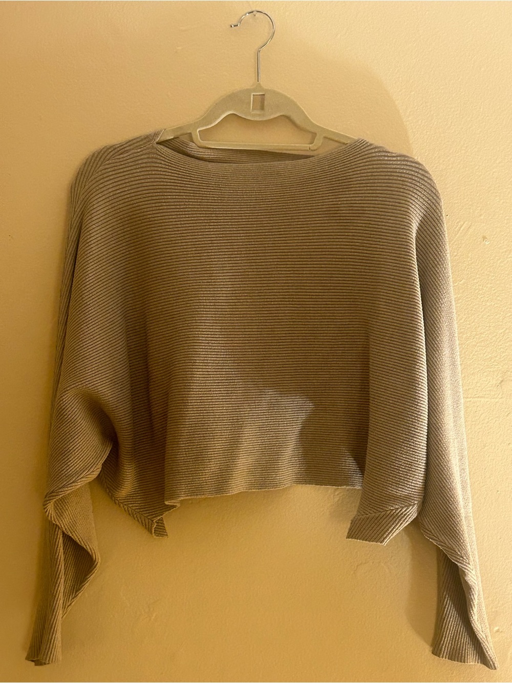 Women's Cropped Ribbed Sweater - Beige